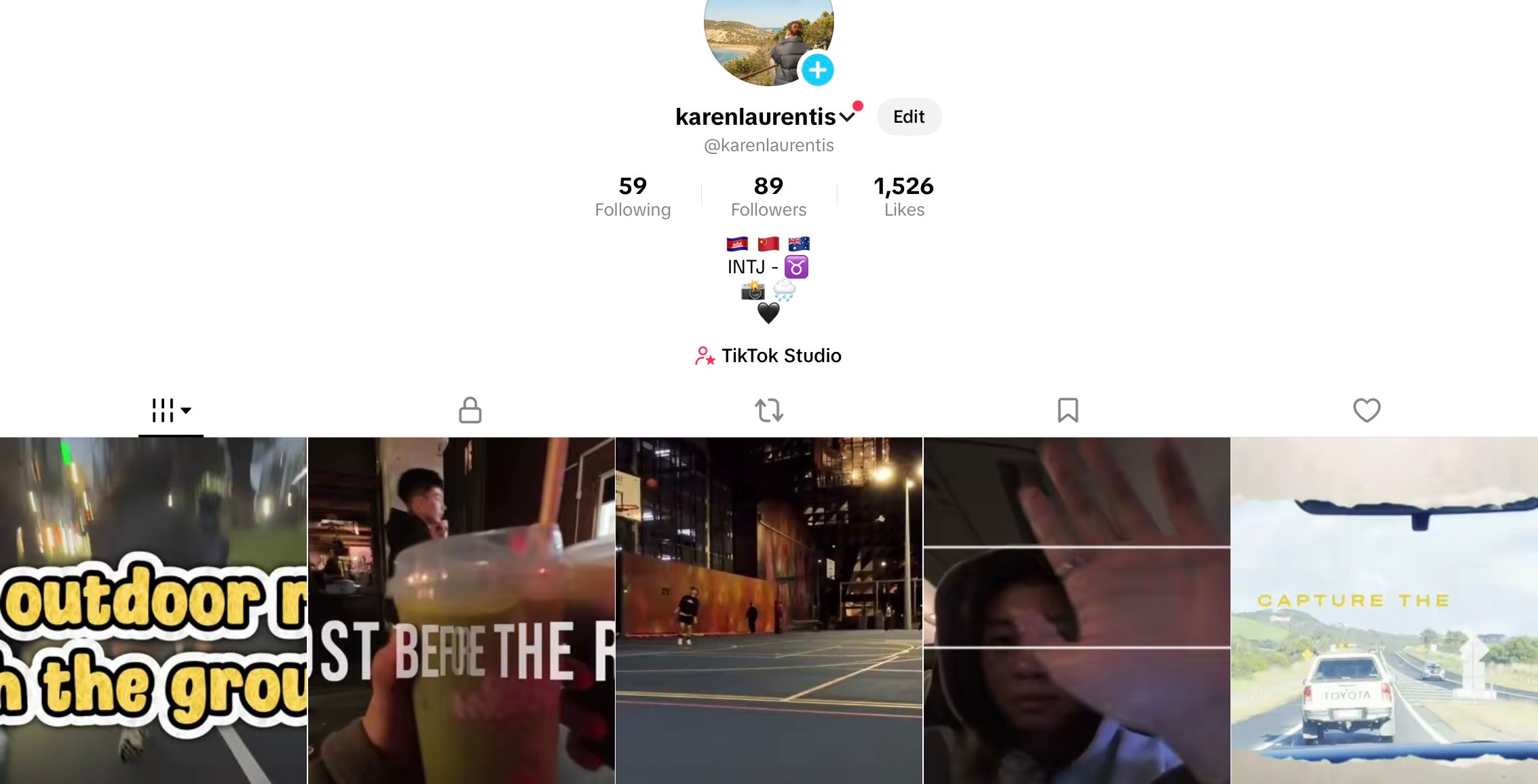 Personal TikTok videos and vlogs
